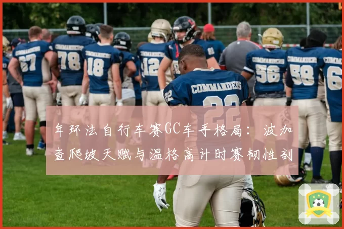 年环法自行车赛GC车手格局：波加查爬坡天赋与温格高计时赛韧性剖析